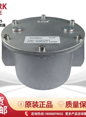 YORK燃气过滤器 天然气过滤器FG4015 4020 4025 4040 4050W过滤棉