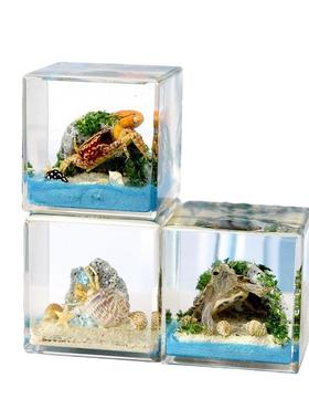 千年虫大立方体微景观树脂标本黄蝎金龟乌龟招潮蟹寄居蟹创意摆件