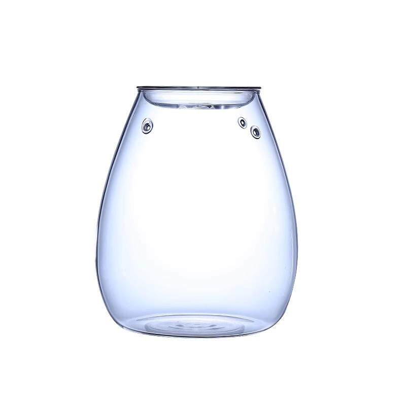 玻璃瓶雫雫桌面景观天然热带迷你办公桌小型摆件水族苔藓生态瓶