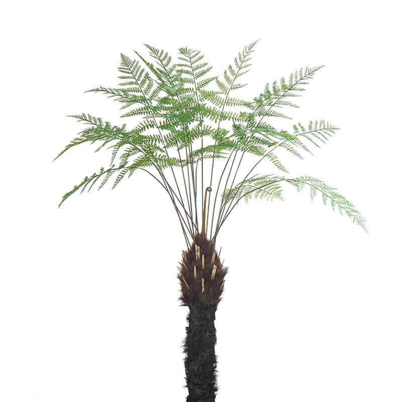 室内仿真植物大型新西兰银蕨仿真树景观橱窗落地装饰绿植造景