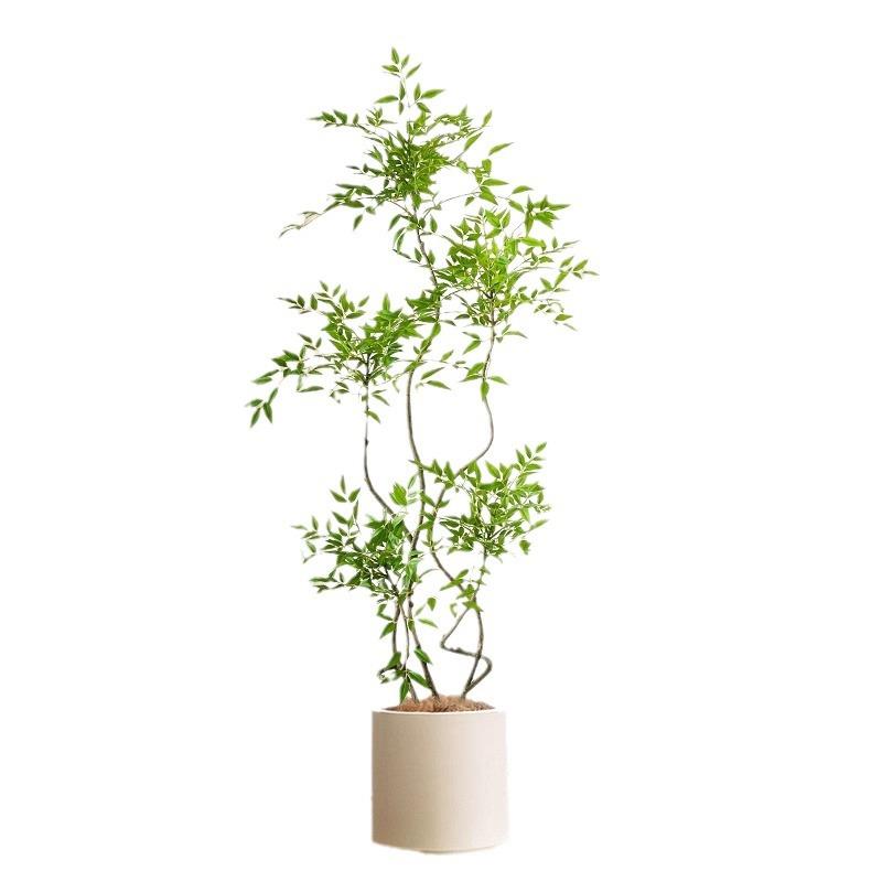 仿真南天竹假绿植装饰客厅仿生植物造景室内假盆栽落地摆件大型