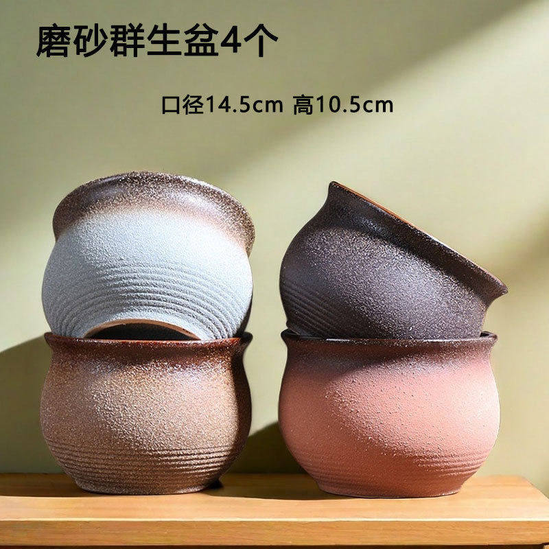 磨砂大小号群生多肉花盆绿植盆栽家用肉肉陶瓷专用盆厂家直销,鲜花速递/花卉仿真/绿植园艺,花托/移动托盘,淘宝优惠券,粉丝福利购,淘宝优惠卷