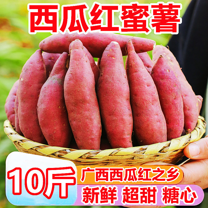 广西糖心蜜薯10斤新鲜蔬菜农家自种小香薯烤番薯沙地板栗地瓜红薯