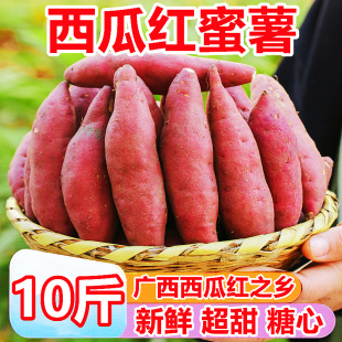 广西糖心蜜薯10斤新鲜蔬菜农家自种小香薯烤番薯沙地板栗地瓜红薯