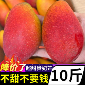 【贵妃芒好评榜】官方专卖店