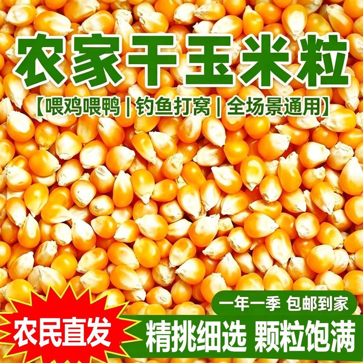 26年新粮养殖鸽子食粮养鸡100斤