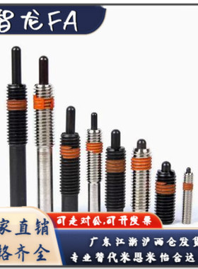 弹簧柱塞PJL3 4 5 6 8 10 12 20 24-1.5 2 3 4 5 10 15 20 30 40