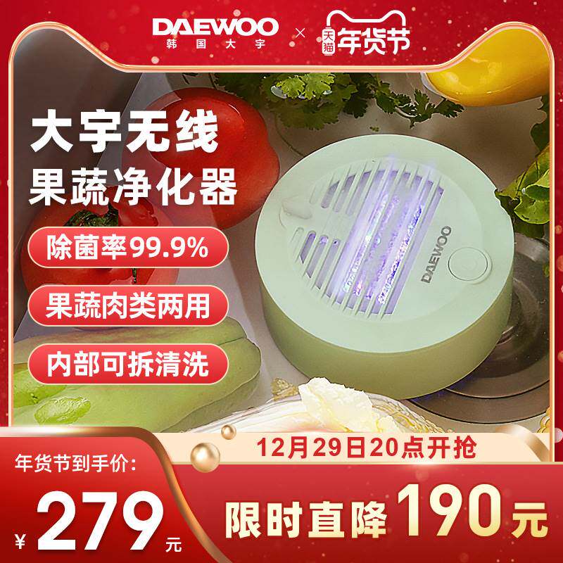 daewoo大宇无线果蔬消毒清洗机家用除农残洗菜机全自动食材净化器