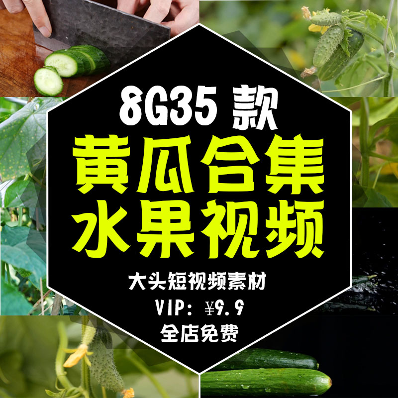 2025 黄瓜合集有机水果大棚种植采摘农业绿色蔬菜视频高清实拍