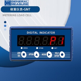 配料灌装 P1重量变送器M02高精度高速控制仪表包装 秤 GMT 杰曼原装