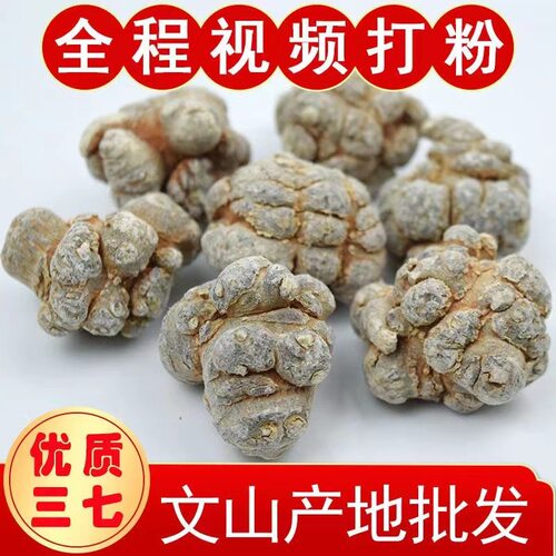 无剪口春三七云南500g正品文山特级20头30头40头60头田七粉材