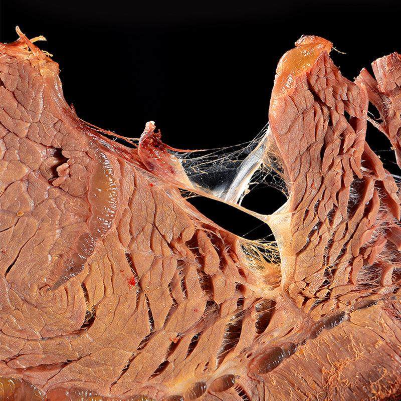 内蒙饭店卤牛肉熟牛肉真空即食熟食卤味小包装牛肉零食小吃特惠