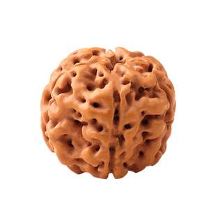 天然五瓣小金刚菩提子手串文玩佛珠男士机刷核桃原籽盘玩手链单圈