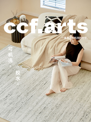 【国补立减15%】CCFARTS灰度幻想现代风地毯双层可拆洗机洗地毯