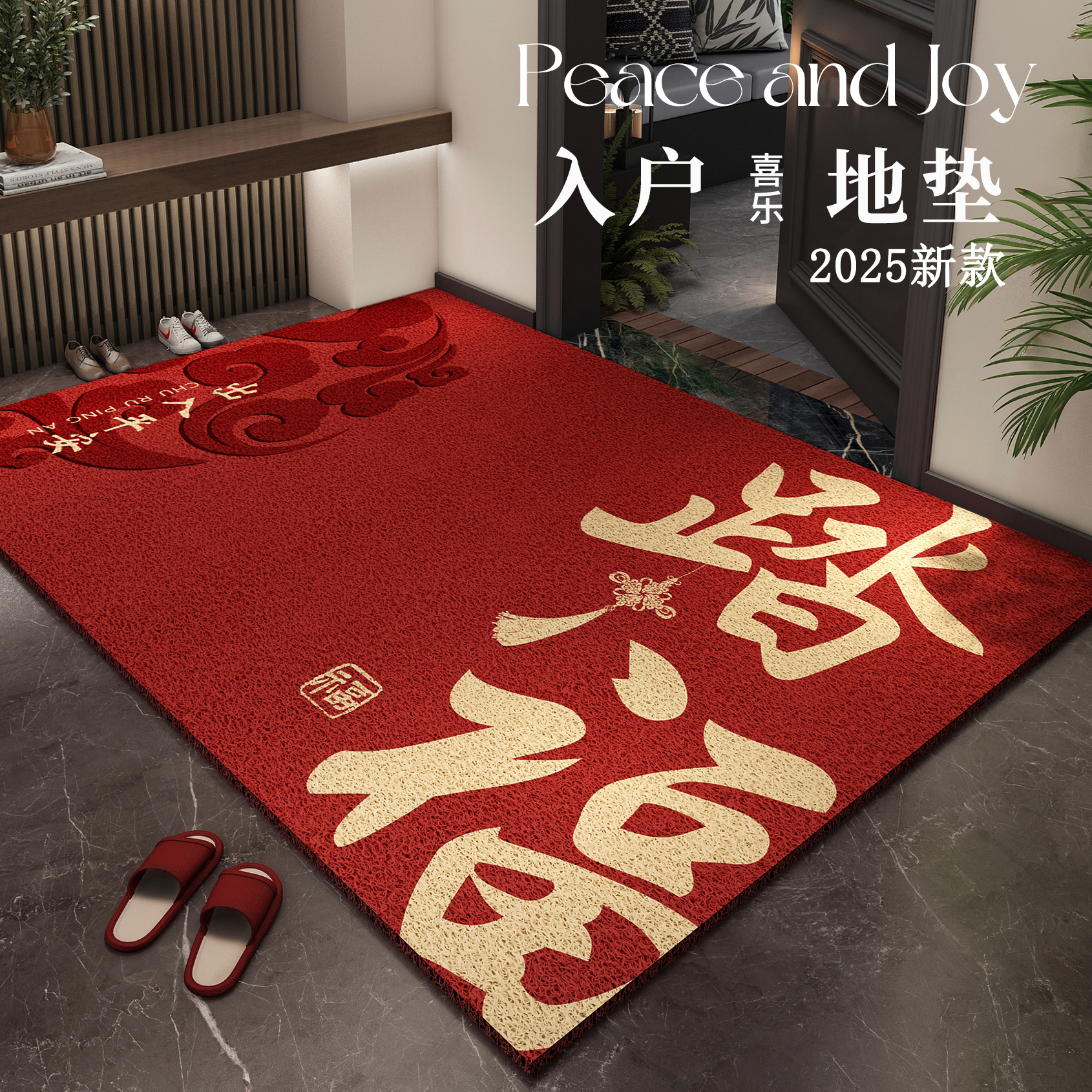 丝圈地垫入户门垫防滑耐脏垫子