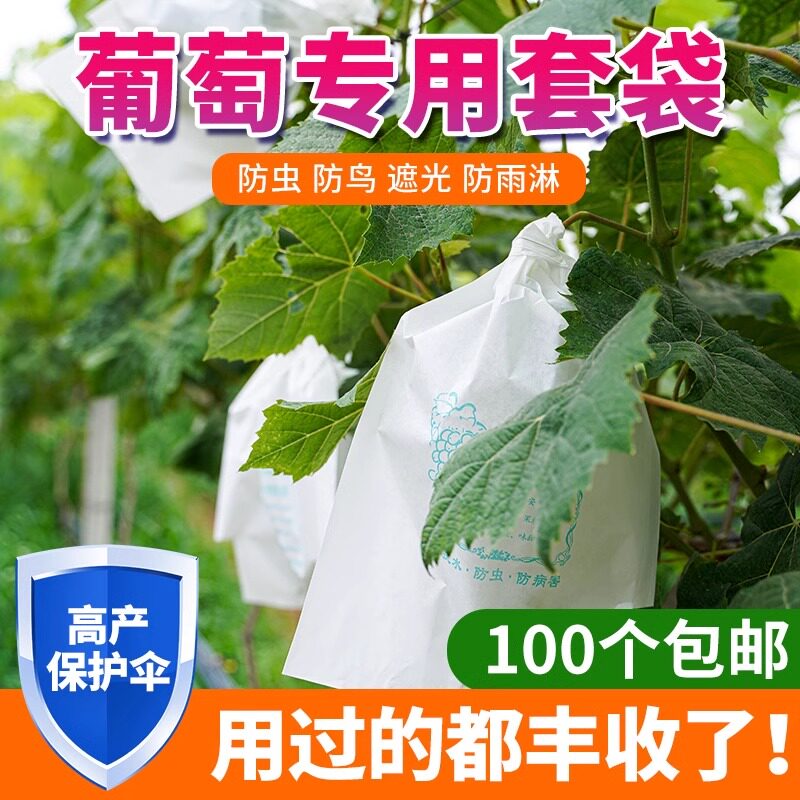 德国葡萄套袋专用袋防虫葡萄套育袋葡纸袋葡萄袋果袋袋子防水专用