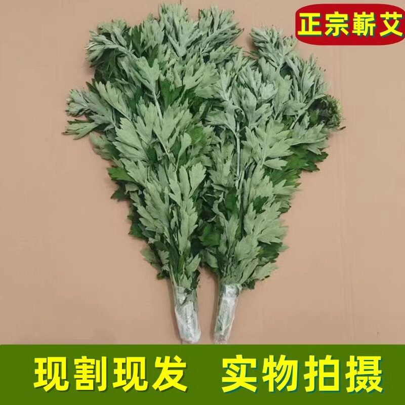 2026年端午野生整颗艾草艾叶新鲜带杆带叶九尖艾蒿菖蒲挂门泡澡