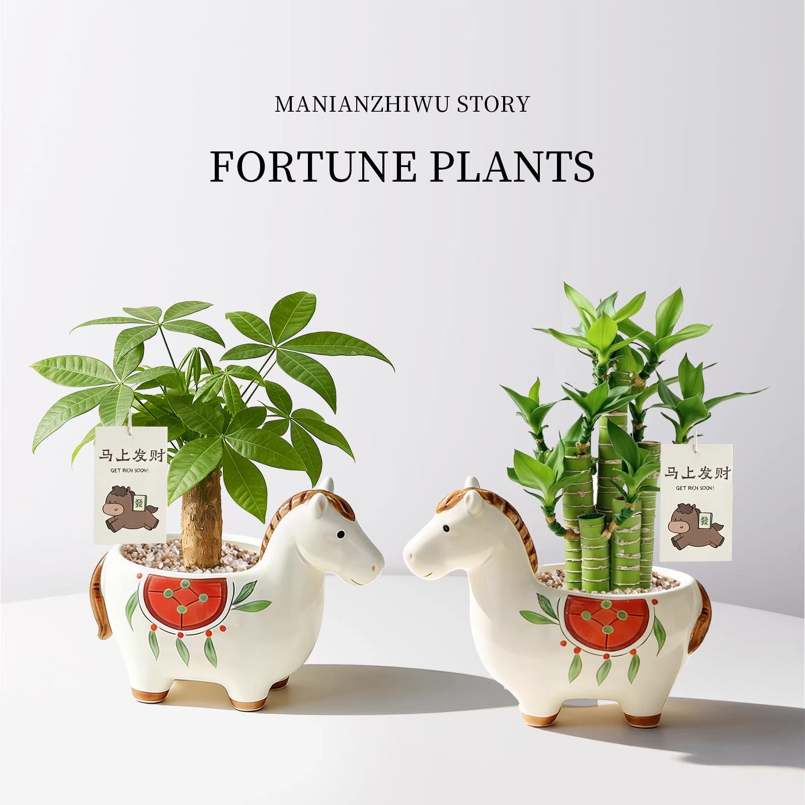 马上发财小马新款发财树小盆栽办公室桌面绿植招财植物马年伴手礼