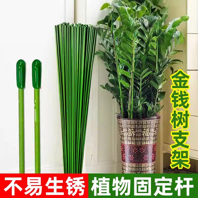 金钱树支撑杆花盆支架杆室内瓜果花卉植物园艺花架爬藤固定捆绑杆