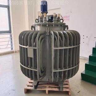 660V1140V 63KV0 A用电机调试用调压矿器TYTDJA 20KSA0