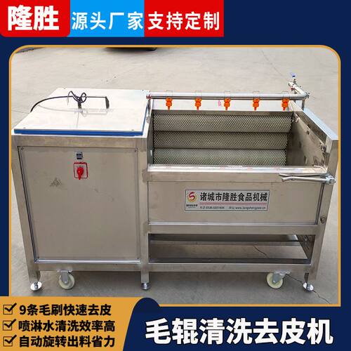 根茎类蔬菜去皮设备隆胜大姜毛刷去泥沙机全自动毛辊清洗机果蔬