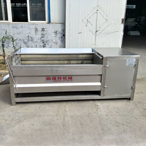 生姜清洗机 毛刷清洗机价格 大姜清洗机 宜福厂家销售 量大优惠