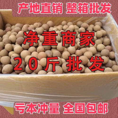 净重20斤】18A桂圆干龙眼干肉厚新货桂圆干泡水泡水泡茶干货批发