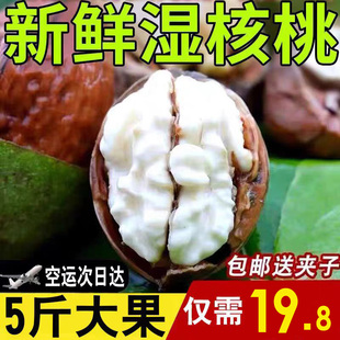 2026年新鲜湿核桃去青皮老树薄皮黑桃鲜嫩生核桃孕妇专用5斤新货