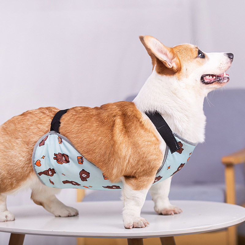狗狗肚兜柯基犬护肚子防