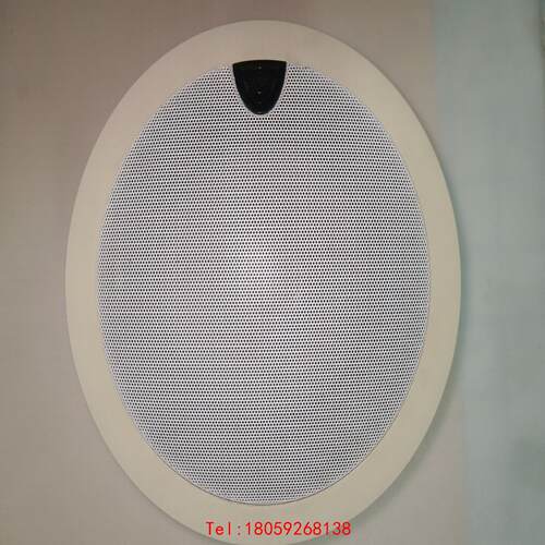 【非标价】systemline SLM2主动式扬声器