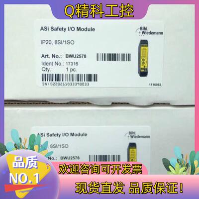 现货Bihl+Wiedemann BWU2578 必威全新模拟量
