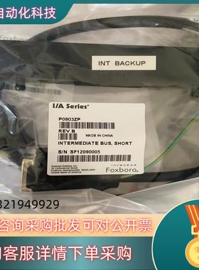 现货福克斯波罗foxboro连接线缆 P0903ZP全新
