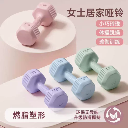 哑铃女士健身家用2/3kg一对杠铃1