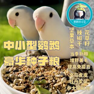 秋冬季增肥亮毛花草籽虎皮牡丹玄凤中小鹦鹉鸟粮鹦鹉粮换毛鸟食