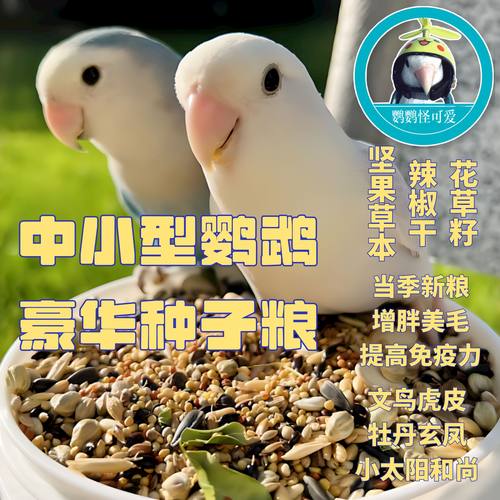 牡丹鹦鹉鹦鹉粮食鸟粮