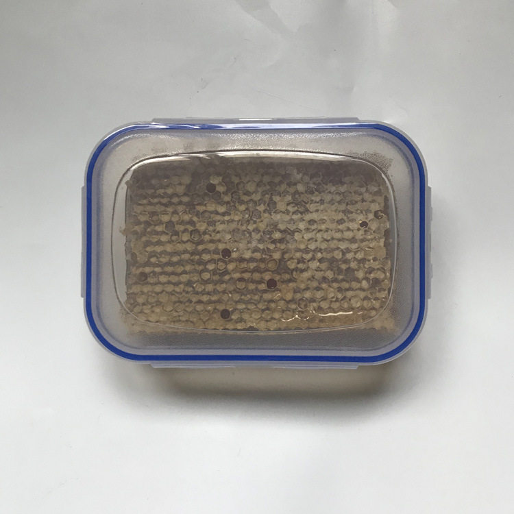 现切割盒装蜂巢蜜500g 百花蜂蜜蜂巢蜜 蜂场 嚼着吃的蜂蜜