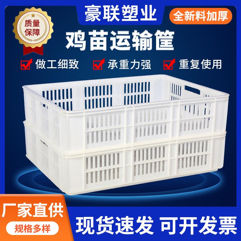 工厂鸡苗运输筐物流周转箱生鲜冷冻筐超市水果塑料筐周转筐