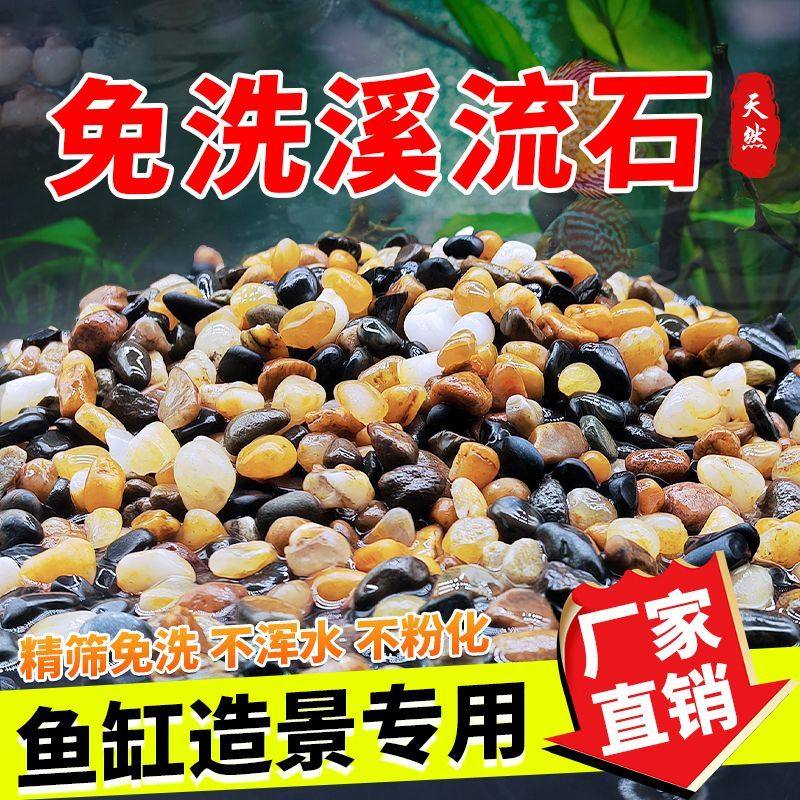 鱼缸底部砂石装饰石头溪流石鱼缸造景水族箱装饰砂石龟缸晒台片石,宠物/宠物食品及用品,造景/装饰,淘宝优惠券,粉丝福利购,淘宝优惠卷