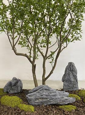 景观石头灰色泡沫假石头仿真英德石工艺酒店园林工程青龙石