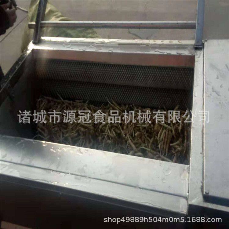 供应去皮毛辊清洗机 土豆芋头莲藕去泥清洗机 果蔬猪蹄毛刷清洗机