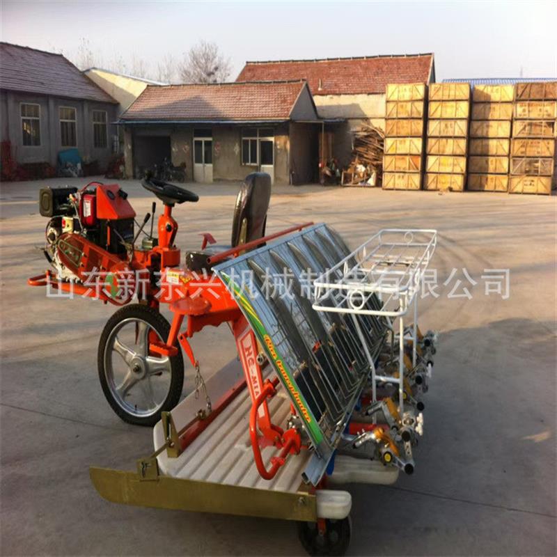 小型6行/8行插禾机 乘坐式6行插秧机 电启动柴油高速插苗机