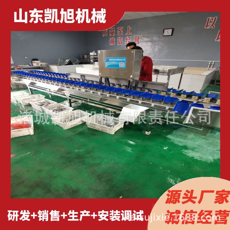 潜江小龙虾高速分选机 海参多头分级机秤 牡蛎全自动清洗机分选机