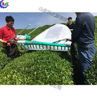 茶园鲜茶叶收获机 双人弧形平行采茶机 汽油二冲程夏茶收割采摘机