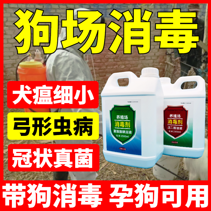 狗场消毒液养狗用犬用犬舍消毒液养殖场专用兽用宠物狗消毒液剂水