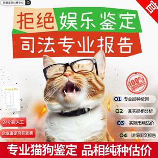 宠物估值图鉴专业 支持多图分析 狗纯种与品相鉴定 快速出结果