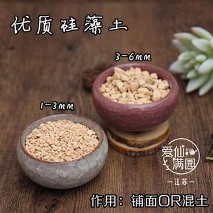 促销优选级硅藻土1.1L散装多肉植物种植用土营养介质铺面装饰