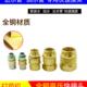 农用柱塞泵快速拔插接头高压打药机出水管进水管铜快转接头配件
