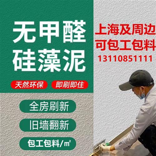 硅藻泥灰泥内墙外墙包工包料家用别墅工装墙面环保漆艺术涂料厂家