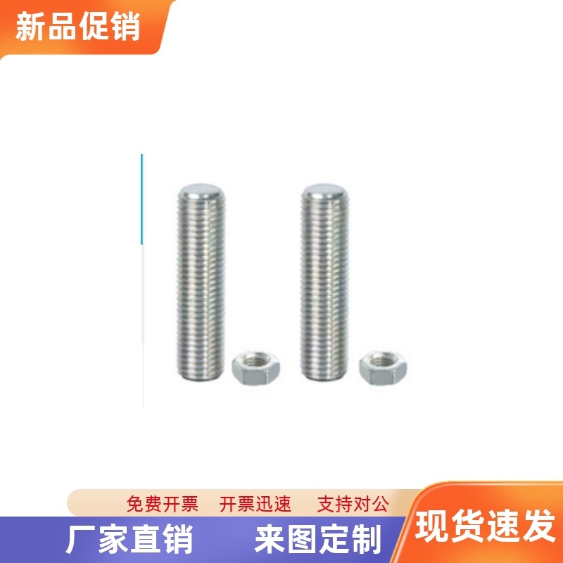 调整螺钉PAS31-M4 M5 M6-L15 L20 L25 L30 L35 L40  L45 L50 L60