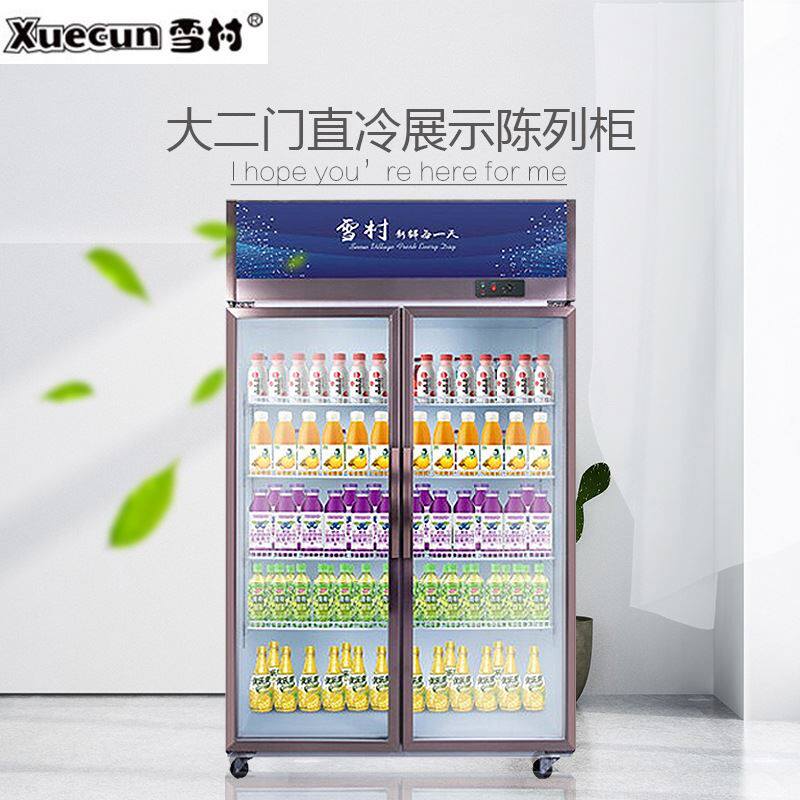 雪村展示柜商用大二门陈列柜超市保鲜柜酒吧酒水柜饮料柜冷藏冰箱